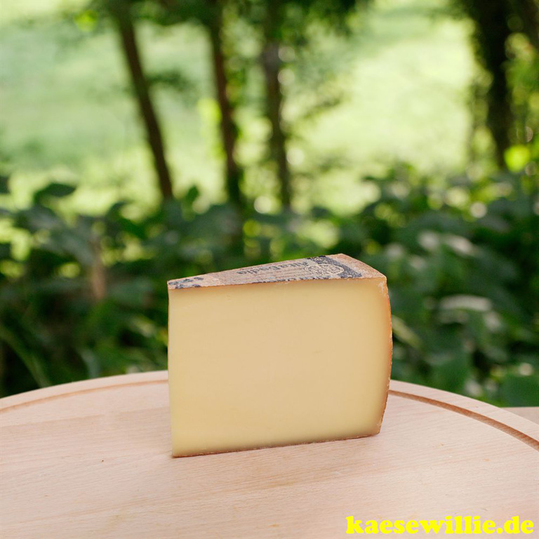 KäseWillie-Produkt:Alta Badia,Italien,6 Monate gereifte Hartkäse