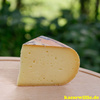 KäseWillie Online Shop:Produkt:Altbierkäse,Bio Schnittkäse, Deutschland