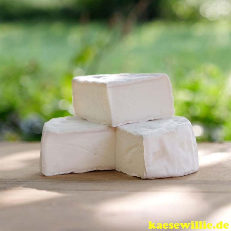 KäseWillie:Produktbild-Camembert di Capra-Italien