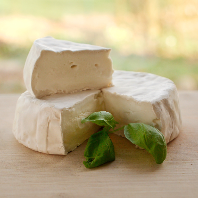 KäseWillie:Produktbild-Camembert di Bufala-Italien