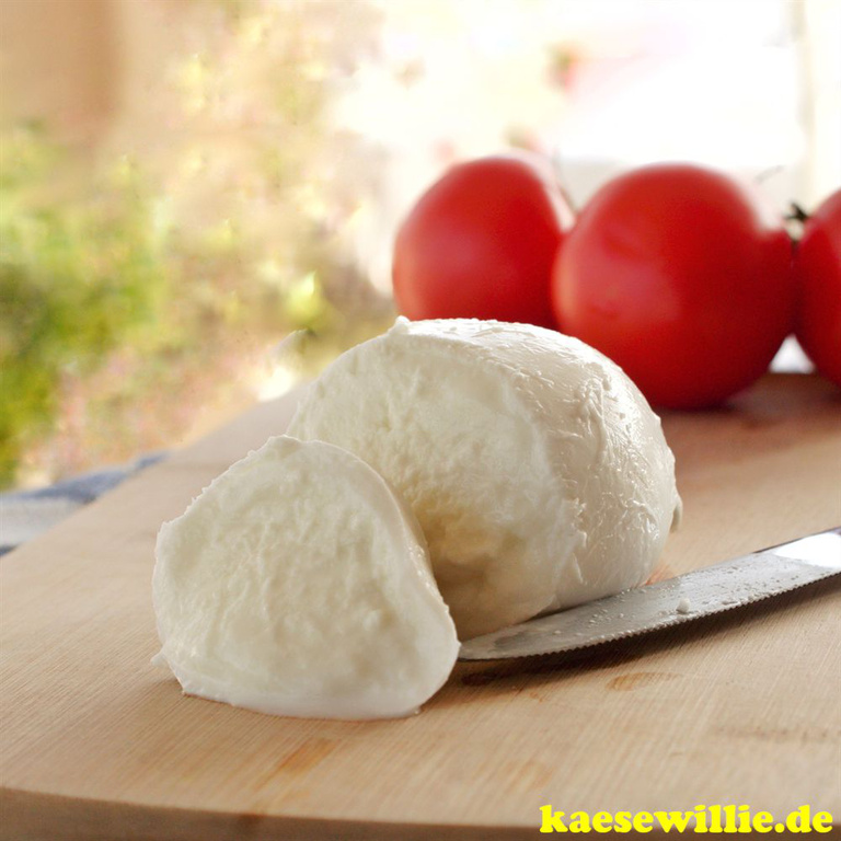 KäseWillie Online Shop:Produktbild-Mozzarella di Bufala-Pasta Filata Käse aus Italien
