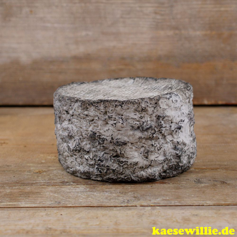 KäseWillie:Produktbild-Bleu de Chèvre-Französischer Edelpilzkäse mit Asche