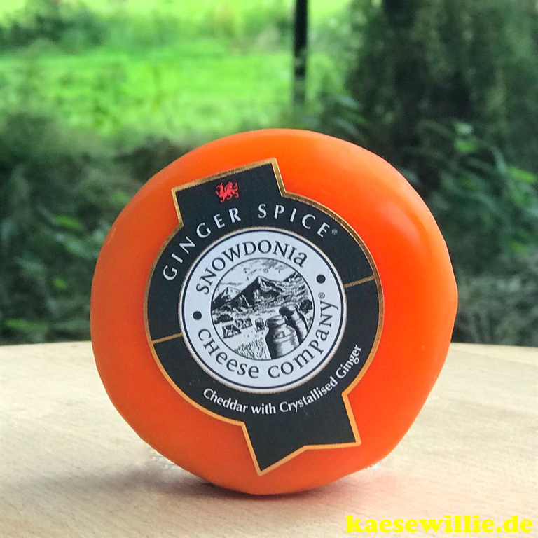 KäseWillie:Produktbild-Cheddar Ginger Spice-Käserei Snowdonia Cheese Company®-UK