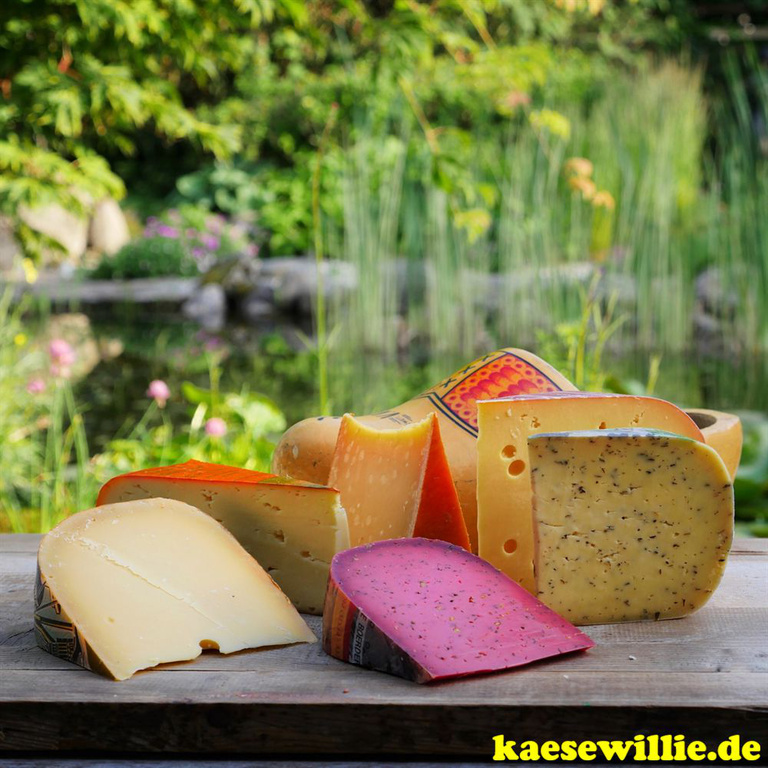 Gouda & Co - Käseplatte