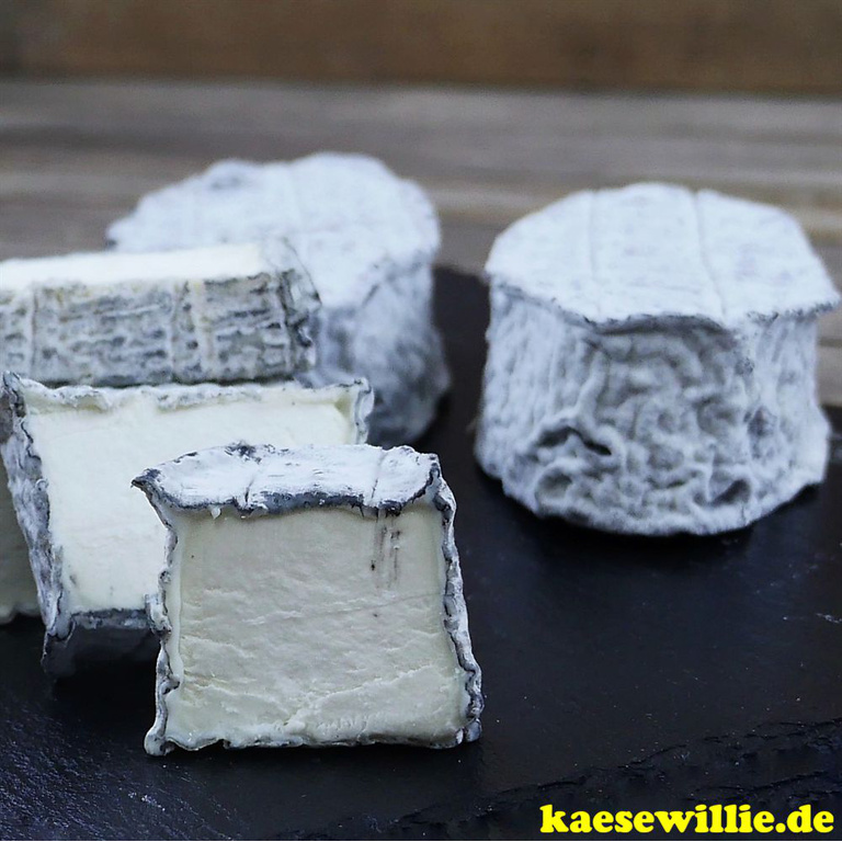KäseWillie:Produkt-&bull;Delice des Deux-Sevres -französische Ziegenkäse