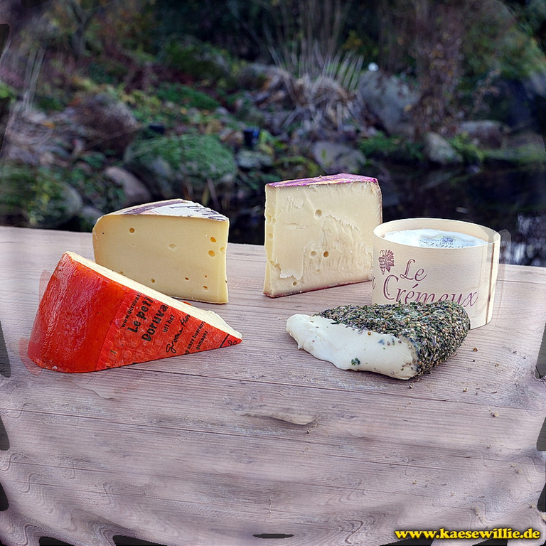 Produkt:Käseplatte-Käse und Schwanger