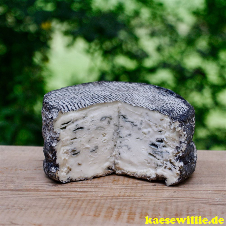KseWillie:Produktbild-Bleu de Chvre-Franzsischer Edelpilzkse mit Asche