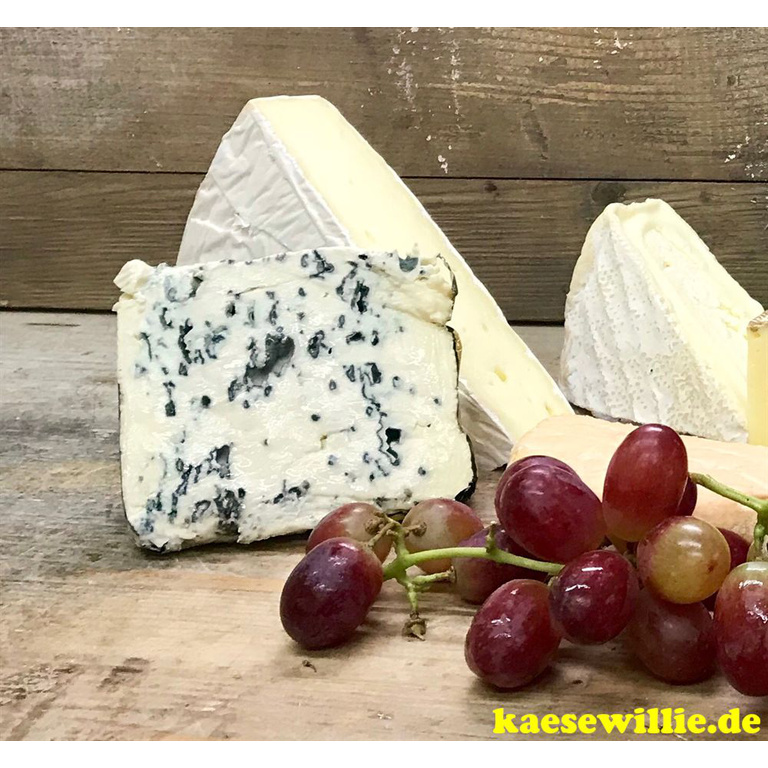 KseWillie:Produktbild-Roquefort AOC-Edelpilzkse-Frankreich