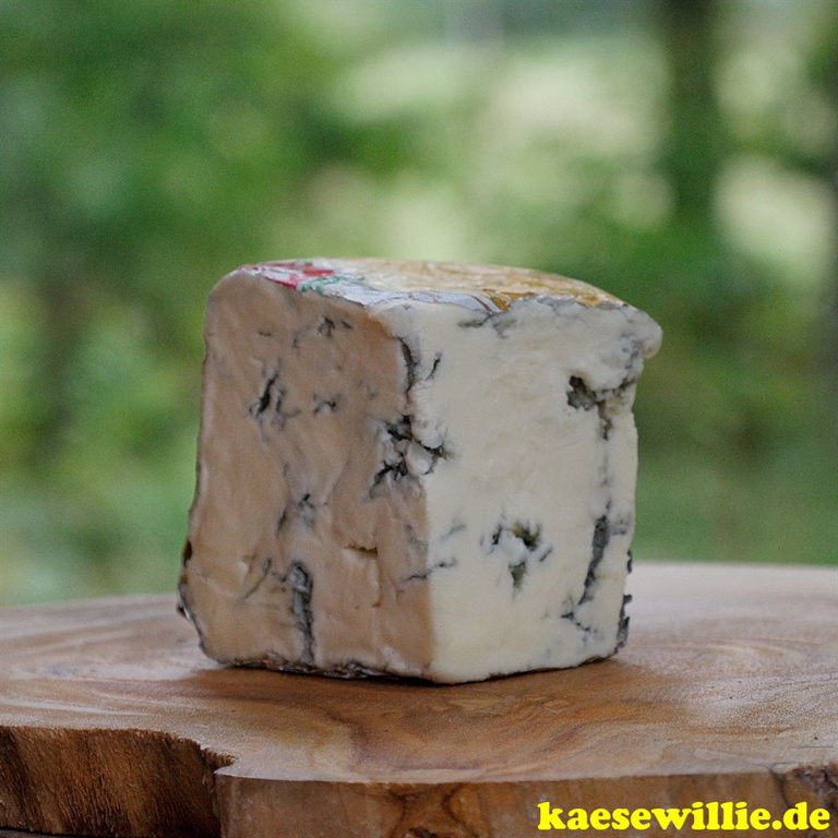 KäseWillie:Produktbild-Gorgonzola Cremosa-italienischer Blaushimmelkäse