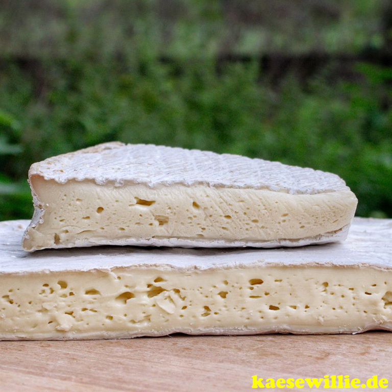 KseWillie:Produktbild-Brie de Meaux-Franzsiche Weichkse