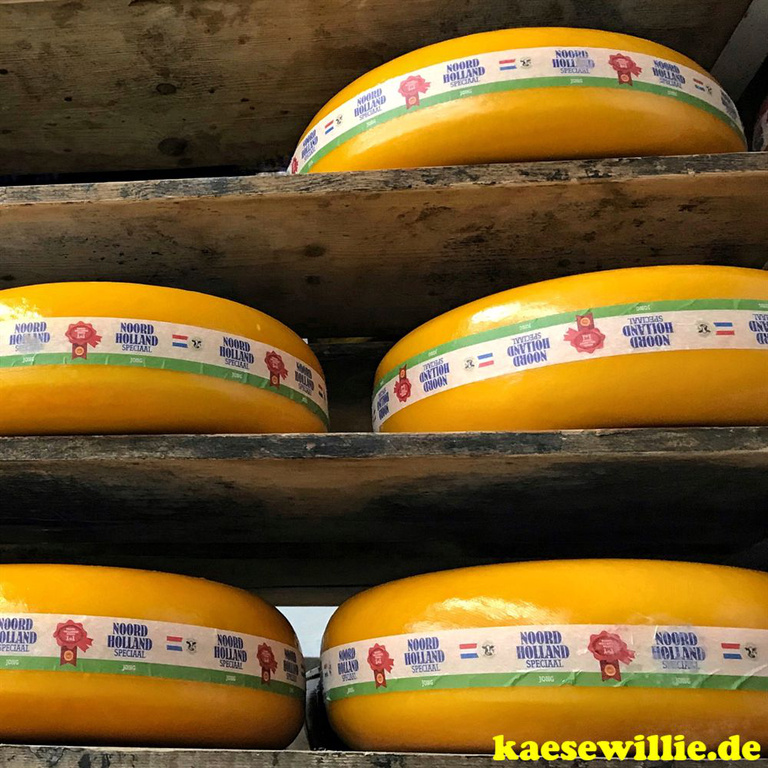 KseWillie:Produkt-Gouda Kse-Jung-4-6 Wochen gereift.