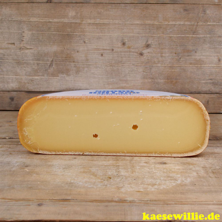 KäseWillie:Produkt-Gouda Käse Alt(oud)- 16 Monate gereft