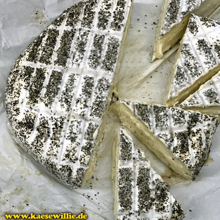 KäseWillie;Produkt-Bio Pfeffer Brie-Pasteurisiert-Belgien