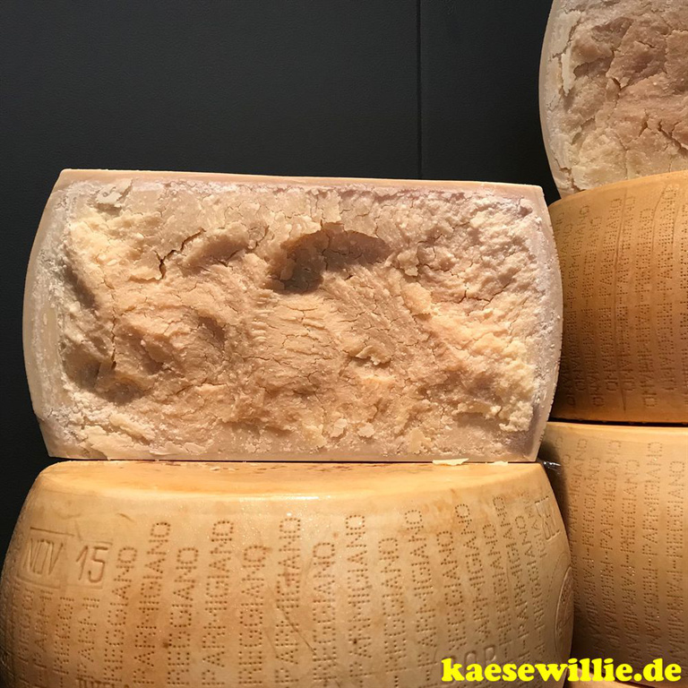 KäseWillie:Produktbild-Parmegiano Reggiano-Hartkäse-Italien
