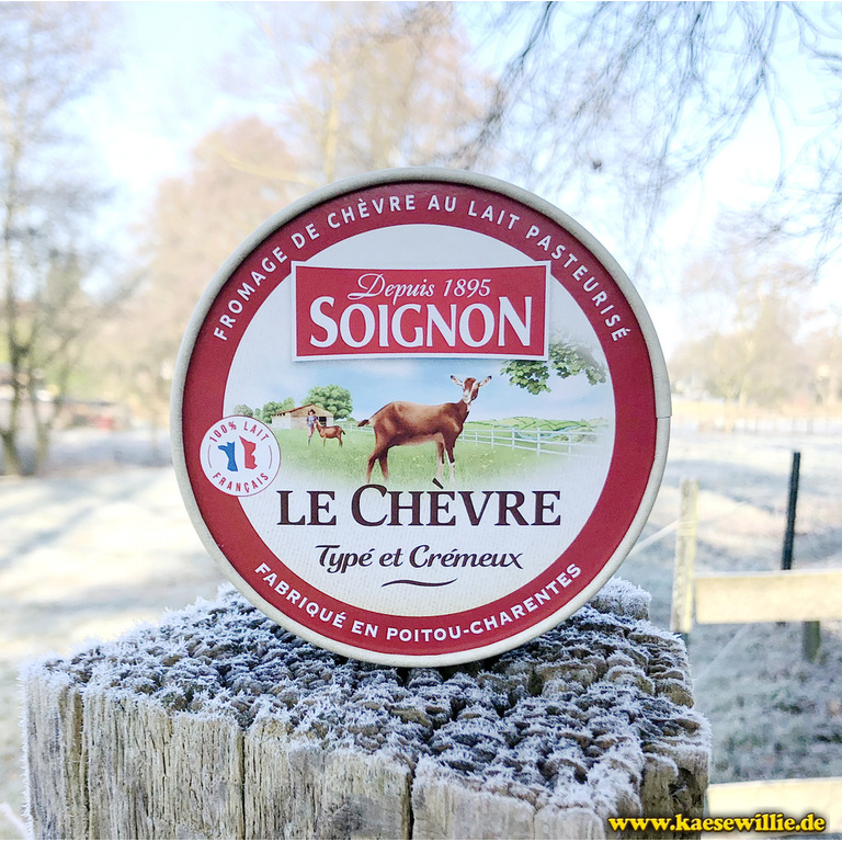 KäseWillie:Produktbild-Soignon Ziegencamembert-Weichkäse-Frankreich